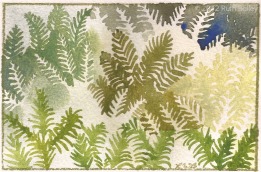 Ferns, watercolor, 3.5" x 5.25"